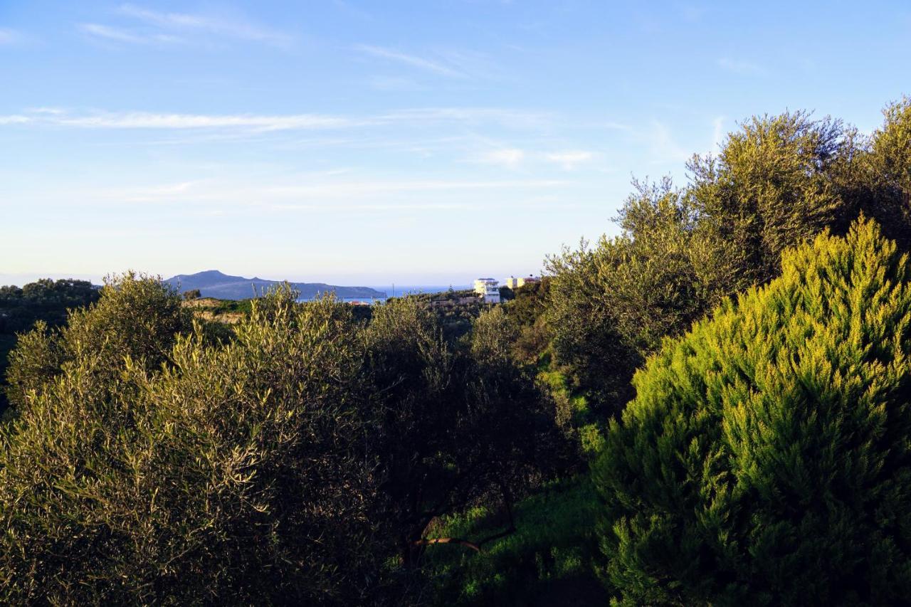 Olive Tree Hillside Apartment Stalos Exterior foto